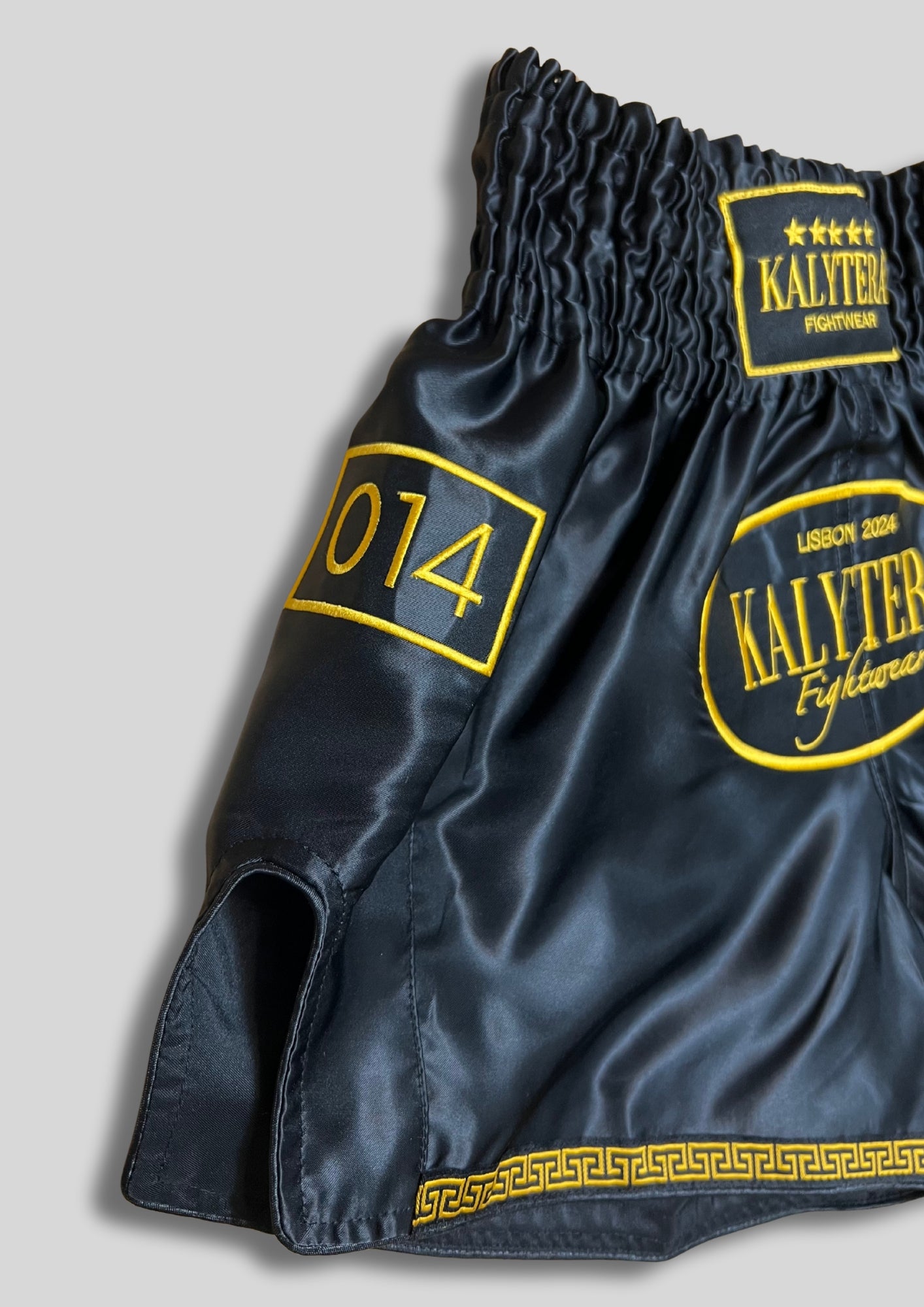 MUAY THAI SHORTS
